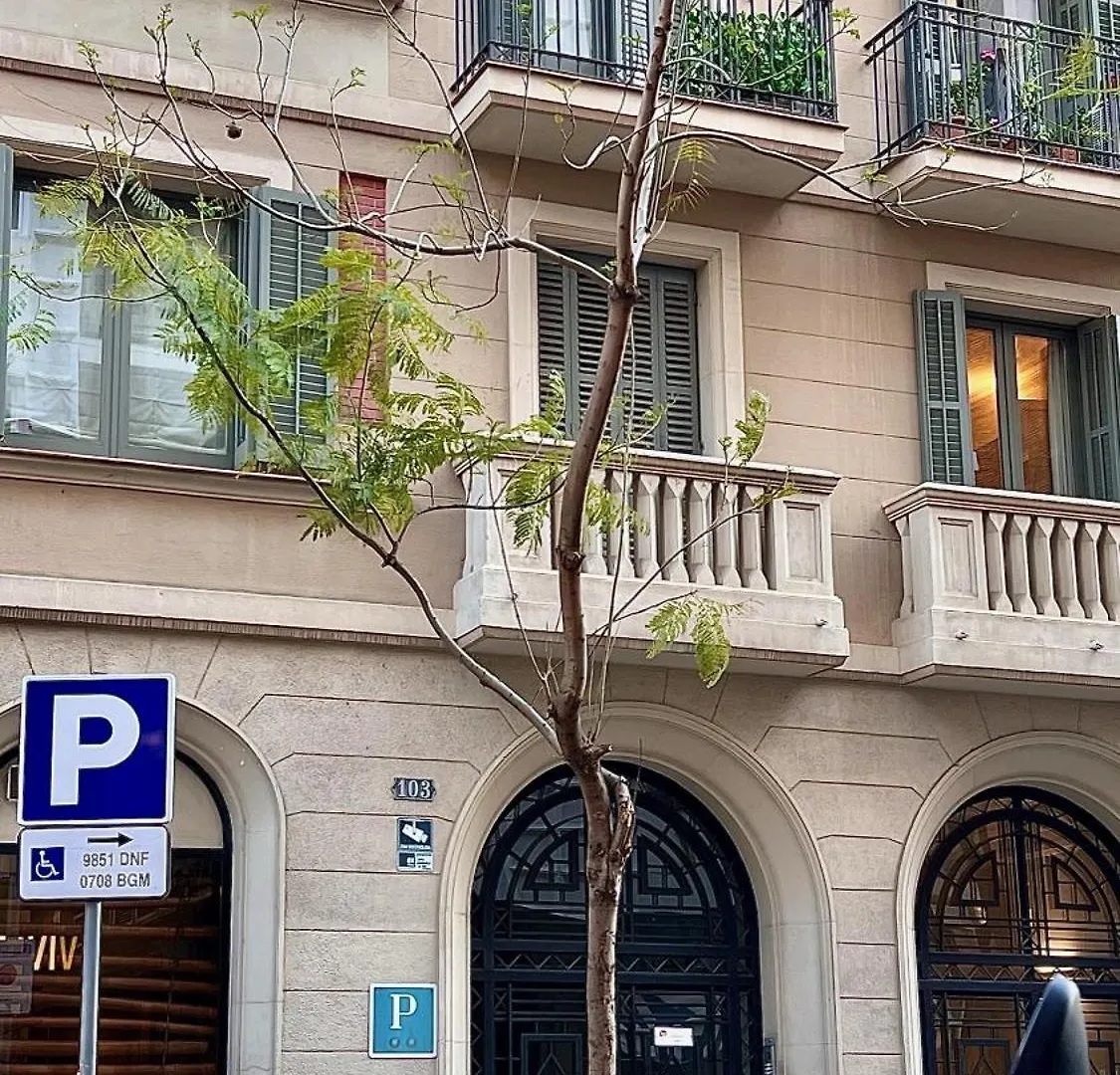 Pensionat Hostal Madrazo Barcelona